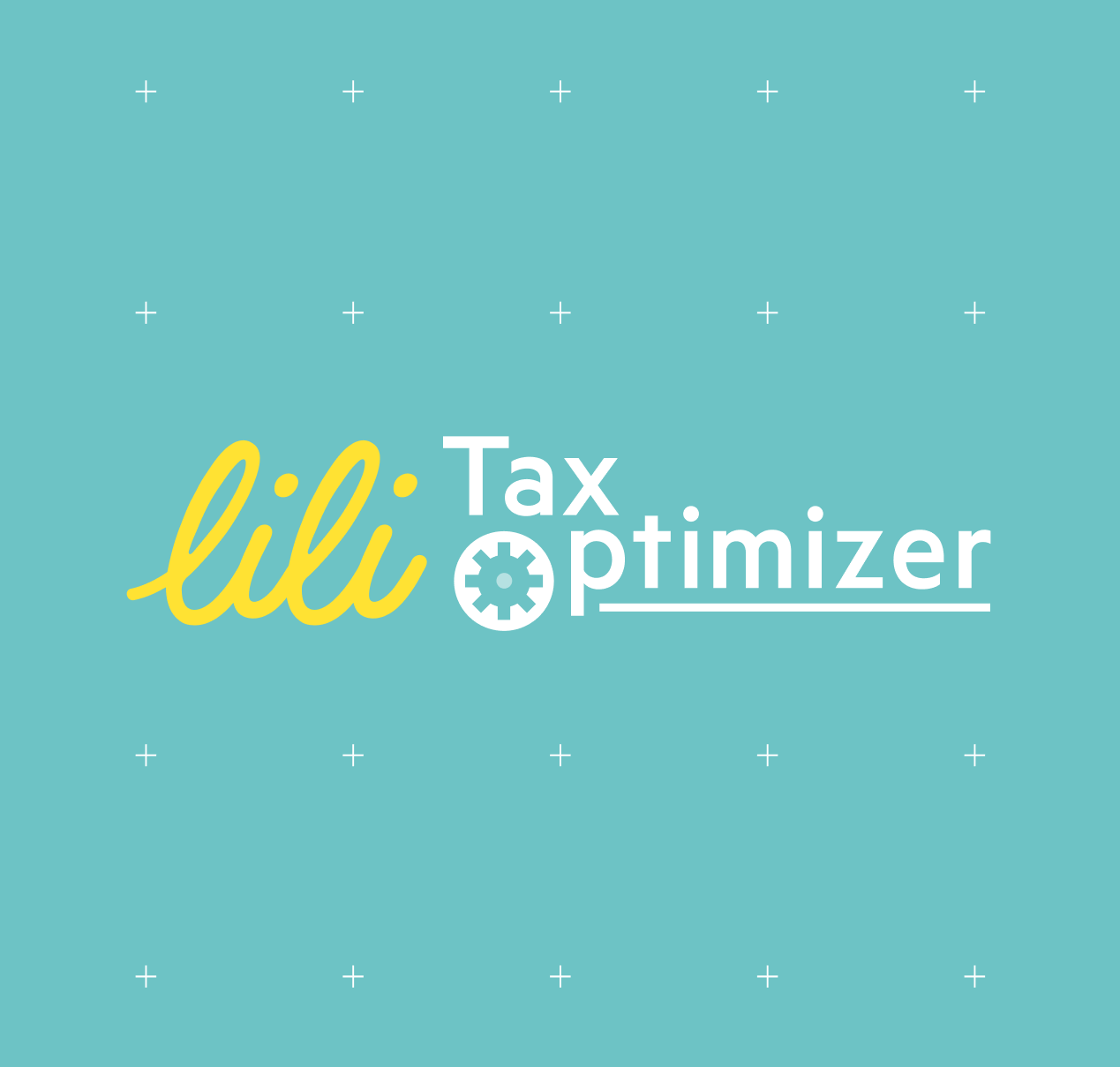 Reduce your taxes and make tax filing simpler with Lili's Tax Optimizer
