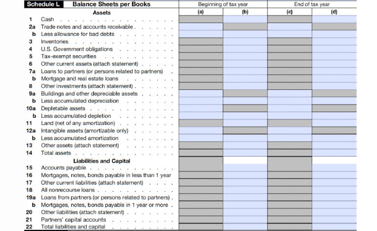 Form 1065 Instructions Us Return Of Partnership Income