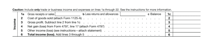 Form 1120-S, Income (Lines 1 to 6)