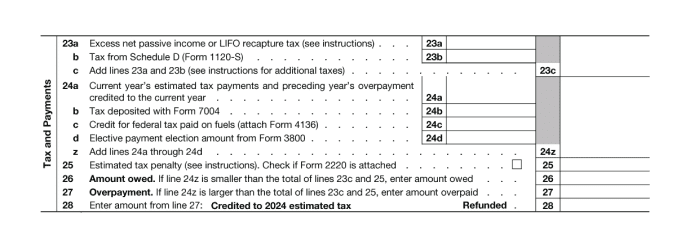 Form 1120-S, Tax Payments (Lines 22 to 27)